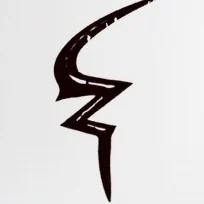 BoltZ lightning mark in black