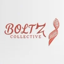 BoltZ Collective wordmark with DNA strand